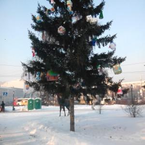 IMG_20141229_134429_новый размер