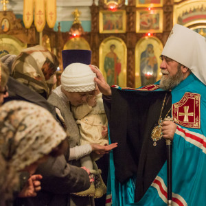 20151103 062 Праздник иконы Казанской Божией Матери Храм Казанской иконы Божией Матери Омск митр. Владимир (Иким) IMG_2861