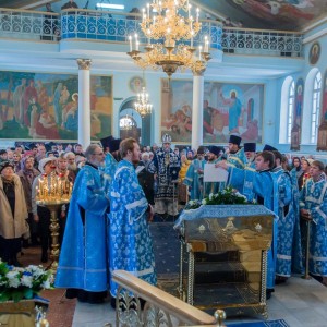 20151104 039 Праздник иконы Казанской Божией Матери Казанский собор Омск митр. Владимир (Иким) IMG_3009