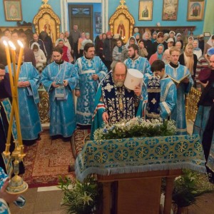 20151105 029 Праздник иконы Божией Матери Всех скорбящих Радость Омск митр. Владимир (Иким) IMG_3189