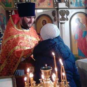 IMG_20151121_160319_новый размер