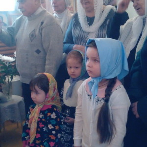 IMG_20151121_170932_новый размер