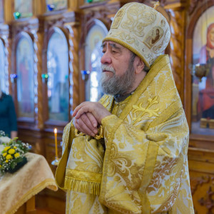 20160103 045 Воскресение перед Рождеством Христовым Николо-Игнатьевский храм Омск митр. Владимир (Иким) IMG_7077