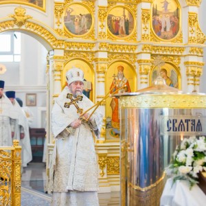20160119 018 Крещение Господа Бога Свято-Успенский каф. собор Омск митр. Владимир (Иким) IMG_1919