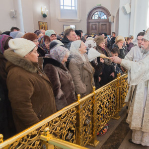 20160119 058 Крещение Господа Бога Свято-Успенский каф. собор Омск митр. Владимир (Иким) IMG_2174