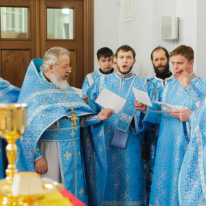 20160215 224 Сретение Господне Свято-Успенский каф. собор Омск митр. Владимир (Иким) IMG_4874