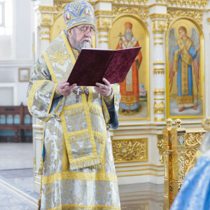 20160215 244 Сретение Господне Свято-Успенский каф. собор Омск митр. Владимир (Иким) IMG_4950