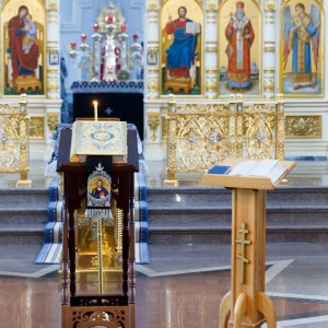 20160323 001 Литургия Преждеосвященных Даров Свято-Успенский каф. собор Омск митр. Владимир (Иким) IMG_8179