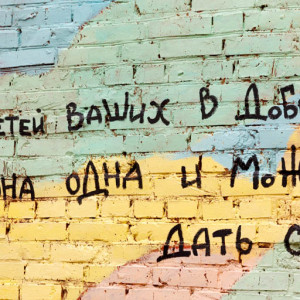 20160422 241 Кировский детский дом - интернат Омск IMG_0306