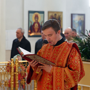 20160503 015 Литургия собор Рождества Христова Омск митр. Владимир (Иким) IMG_4198