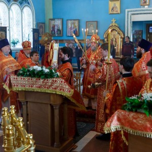 20160505 015 Литургия Храм иконы Б.М. Всех скорбящих Радость Омск митр. Владимир (Иким) IMG_5503