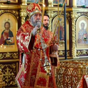 20160505 017 Литургия Храм иконы Б.М. Всех скорбящих Радость Омск митр. Владимир (Иким) IMG_5512