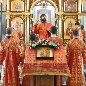 20160505 027 Литургия Храм иконы Б.М. Всех скорбящих Радость Омск митр. Владимир (Иким) IMG_5568