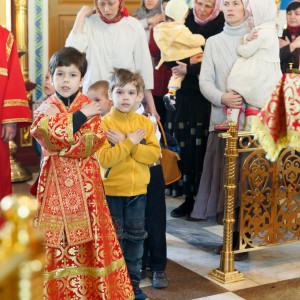 20160505 029 Литургия Храм иконы Б.М. Всех скорбящих Радость Омск митр. Владимир (Иким) IMG_5585