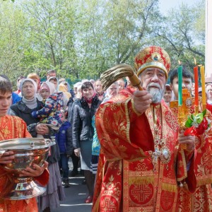 20160505 045 Литургия Храм иконы Б.М. Всех скорбящих Радость Омск митр. Владимир (Иким) IMG_5652