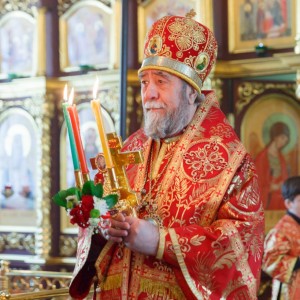 20160505 049 Литургия Храм иконы Б.М. Всех скорбящих Радость Омск митр. Владимир (Иким) IMG_5696