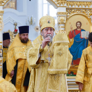 025 20160727 День памяти Святого Князя Владимира Собор Успения Омск митр. Владимир (Иким) IMG_5726