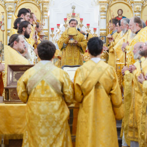 123 20160728 День памяти Святого Князя Владимира Собор Успения Омск митр. Владимир (Иким) IMG_5968
