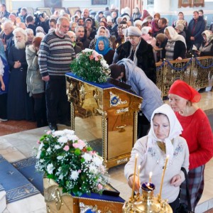 20161104 037 Празднование Казанской иконы Божией Матери Казанский собор Омск митр. Владимир (Иким) IMG_8859