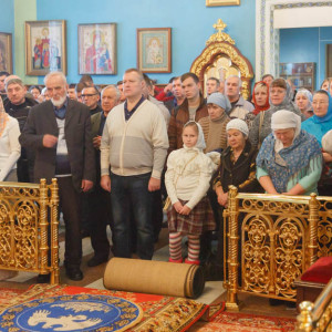 20161106 015 Праздник иконы Божией Матери Всех скорбящих Радость Омск митр. Владимир (Иким) IMG_9319