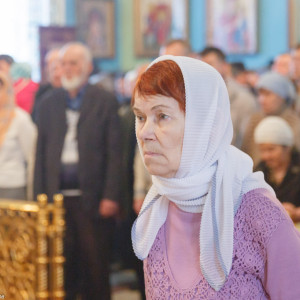 20161106 016 Праздник иконы Божией Матери Всех скорбящих Радость Омск митр. Владимир (Иким) IMG_9321