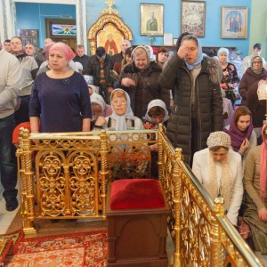 20161106 031 Праздник иконы Божией Матери Всех скорбящих Радость Омск митр. Владимир (Иким) IMG_9368