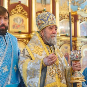 20161106 033 Праздник иконы Божией Матери Всех скорбящих Радость Омск митр. Владимир (Иким) IMG_9371