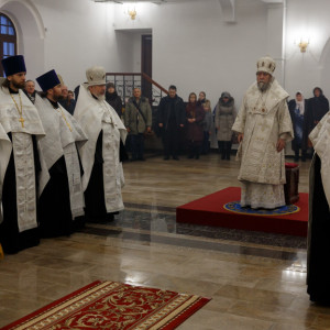20170107 307 Всенощное бдение Воскресенский собор Омск митр. Владимир (Иким) IMG_0818