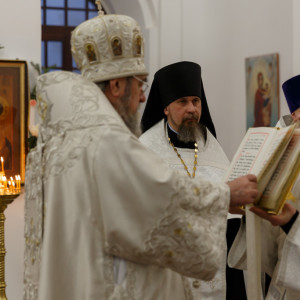 20170107 308 Всенощное бдение Воскресенский собор Омск митр. Владимир (Иким) IMG_0825