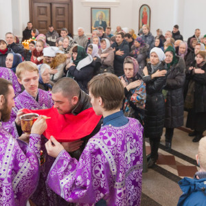 20170305 034 Литургия Чин Торжества Православия Собор Успения Омск митр. Владимир (Иким) IMG_4352