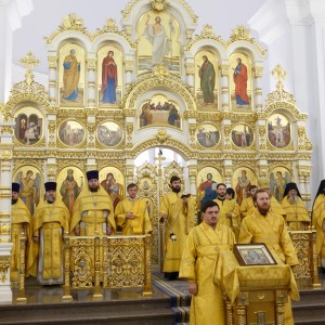 20171217 004 Литургия Собор Успения Омск митр. Владимир (Иким) IMG_1975