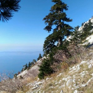 MND_829891940