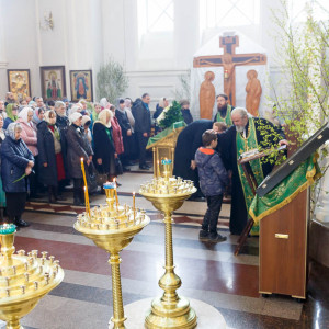 180526 009 Вечерня Собор Успения Омск митр. Владимир (Иким) IMG_1167