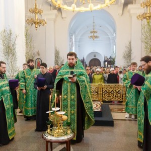 180526 014 Вечерня Собор Успения Омск митр. Владимир (Иким) IMG_1179