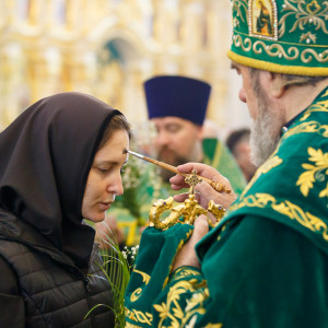180526 025 Вечерня Собор Успения Омск митр. Владимир (Иким) IMG_1234
