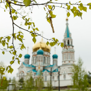 180527 002 День Святой Троицы Собор Успения Омск митр. Владимир (Иким) IMG_1266
