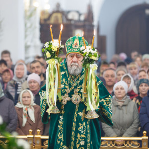 180527 009 День Святой Троицы Собор Успения Омск митр. Владимир (Иким) IMG_1304