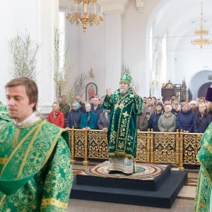180527 010 День Святой Троицы Собор Успения Омск митр. Владимир (Иким) IMG_1305