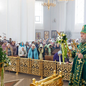 180527 012 День Святой Троицы Собор Успения Омск митр. Владимир (Иким) IMG_1320
