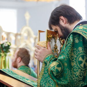 180527 013 День Святой Троицы Собор Успения Омск митр. Владимир (Иким) IMG_1322