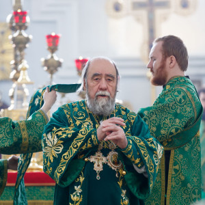 180527 020 День Святой Троицы Собор Успения Омск митр. Владимир (Иким) IMG_1359