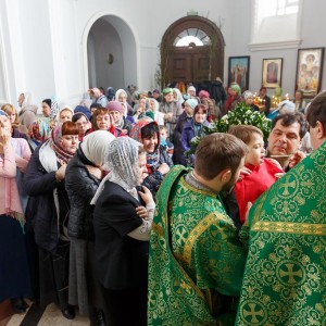 180527 023 День Святой Троицы Собор Успения Омск митр. Владимир (Иким) IMG_1379