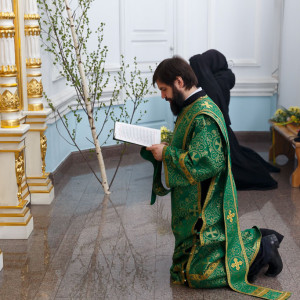180527 028 День Святой Троицы Собор Успения Омск митр. Владимир (Иким) IMG_1414