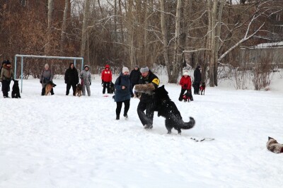 Переполненные радости Рождества Христова (6)