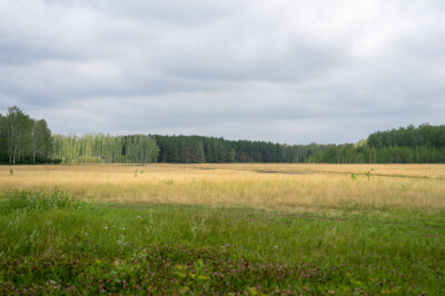 2023.07.29 освящение креста храма св. Луки лука Войно-ясенецкого п. Хвойный (2)
