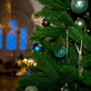 _DSC6919