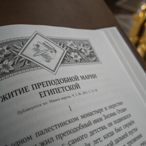 2025.04.02 в (43)