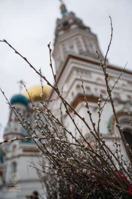2025.04.12 В (48)