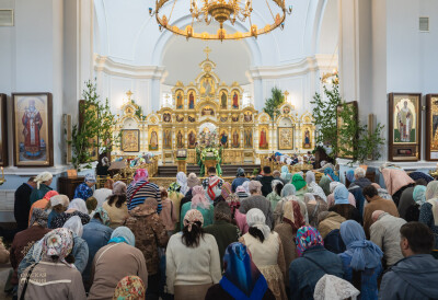 2025.06.08 Т (72)