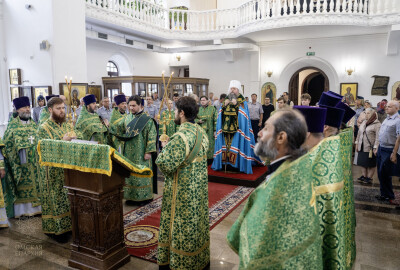 DSC07843